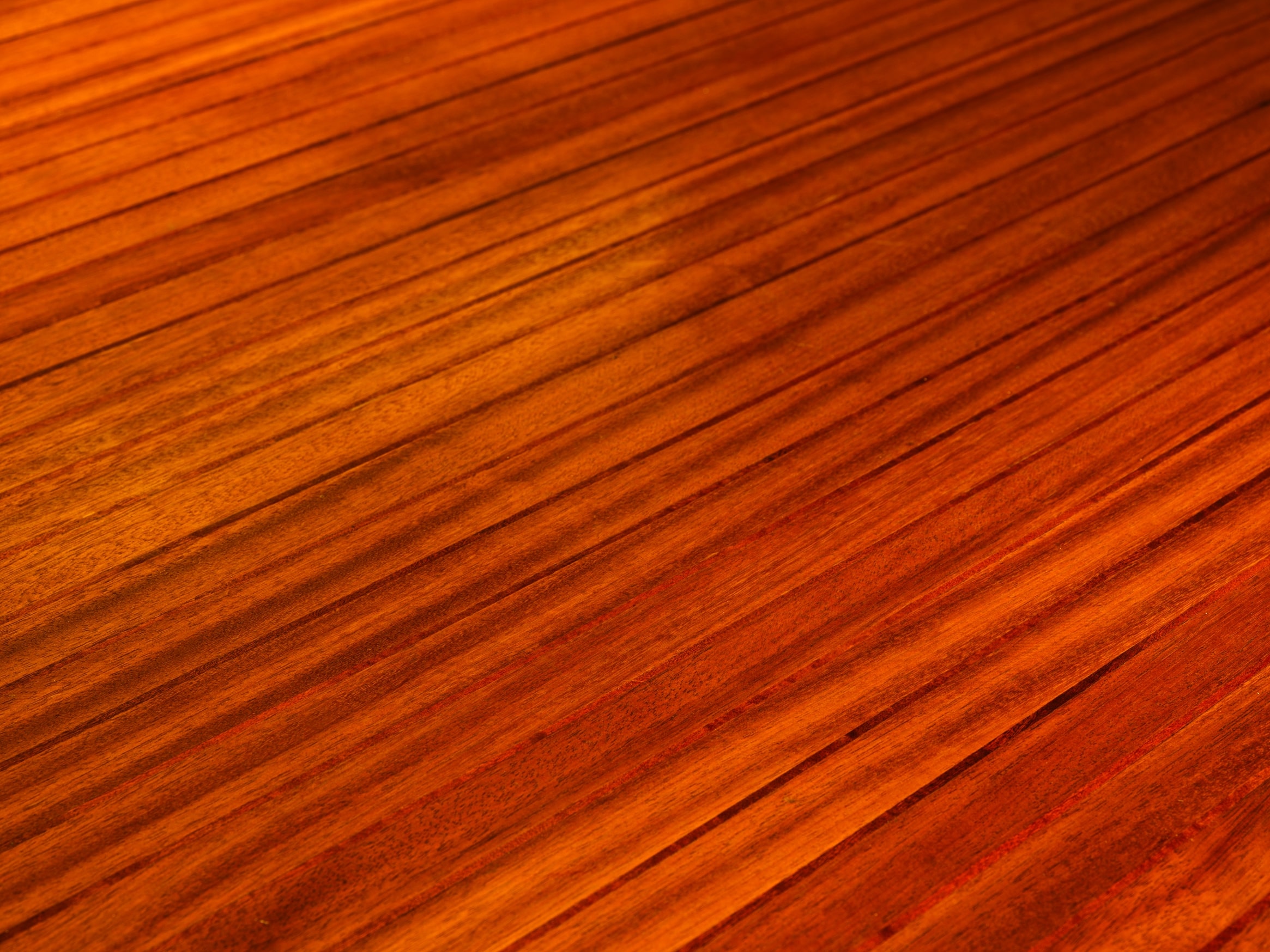 Vitarc Karavan Zemin